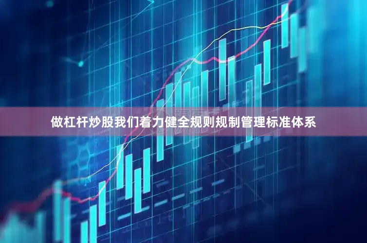 做杠杆炒股我们着力健全规则规制管理标准体系