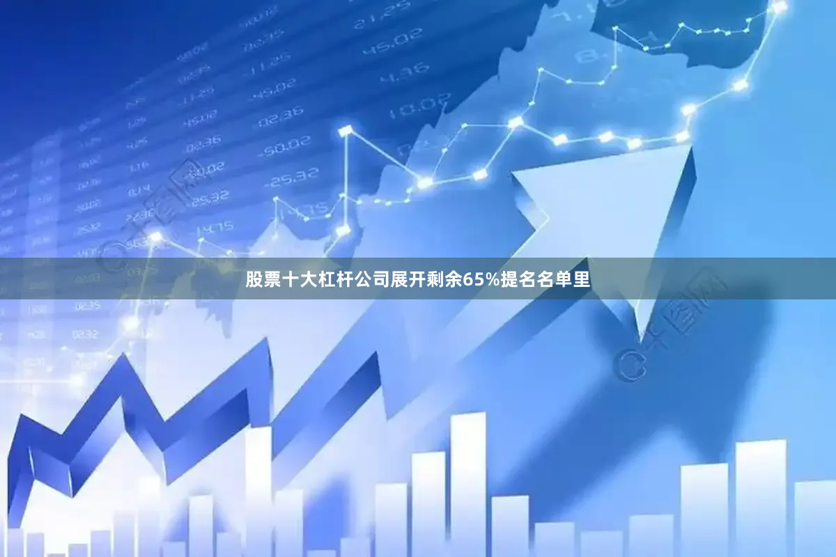 股票十大杠杆公司展开剩余65%提名名单里