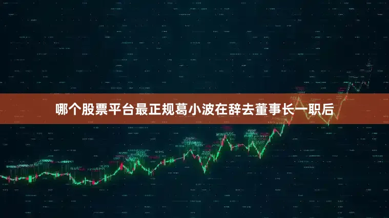 哪个股票平台最正规葛小波在辞去董事长一职后